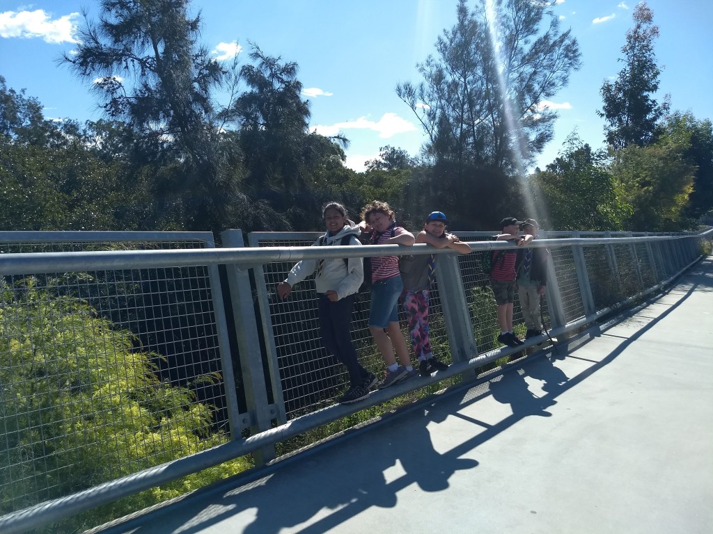 5 Cubs standing on a bridge over a bush creek
